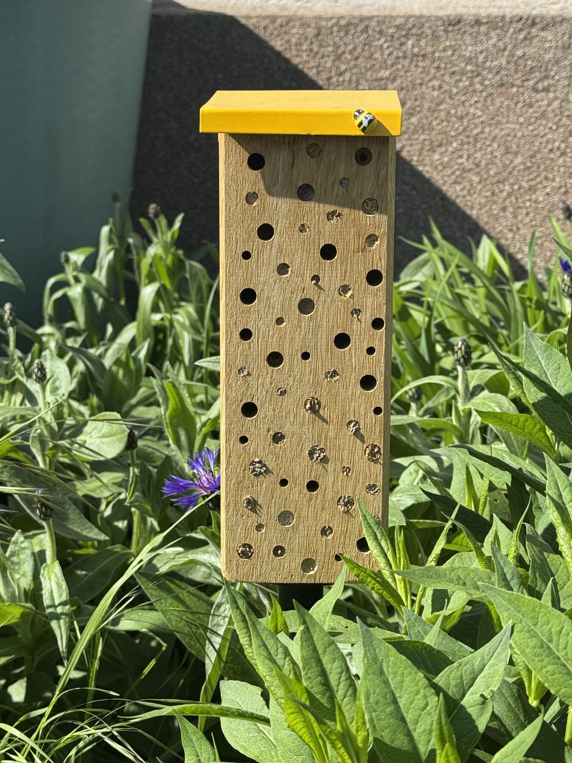 Besiedelte Holz-Nisthilfe zwischen Pflanzen in einem naturnah gestalteten Garten.