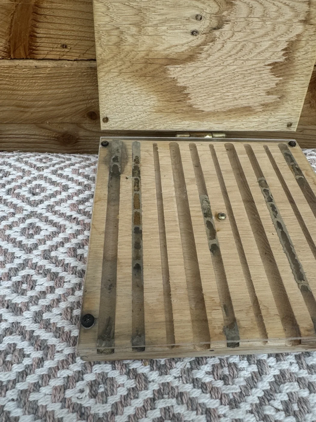 Linker Bereich eines Wildbienen-Beobachtungskastens mit belegten Nistgängen und hintereinander angelegten Brutzellen.