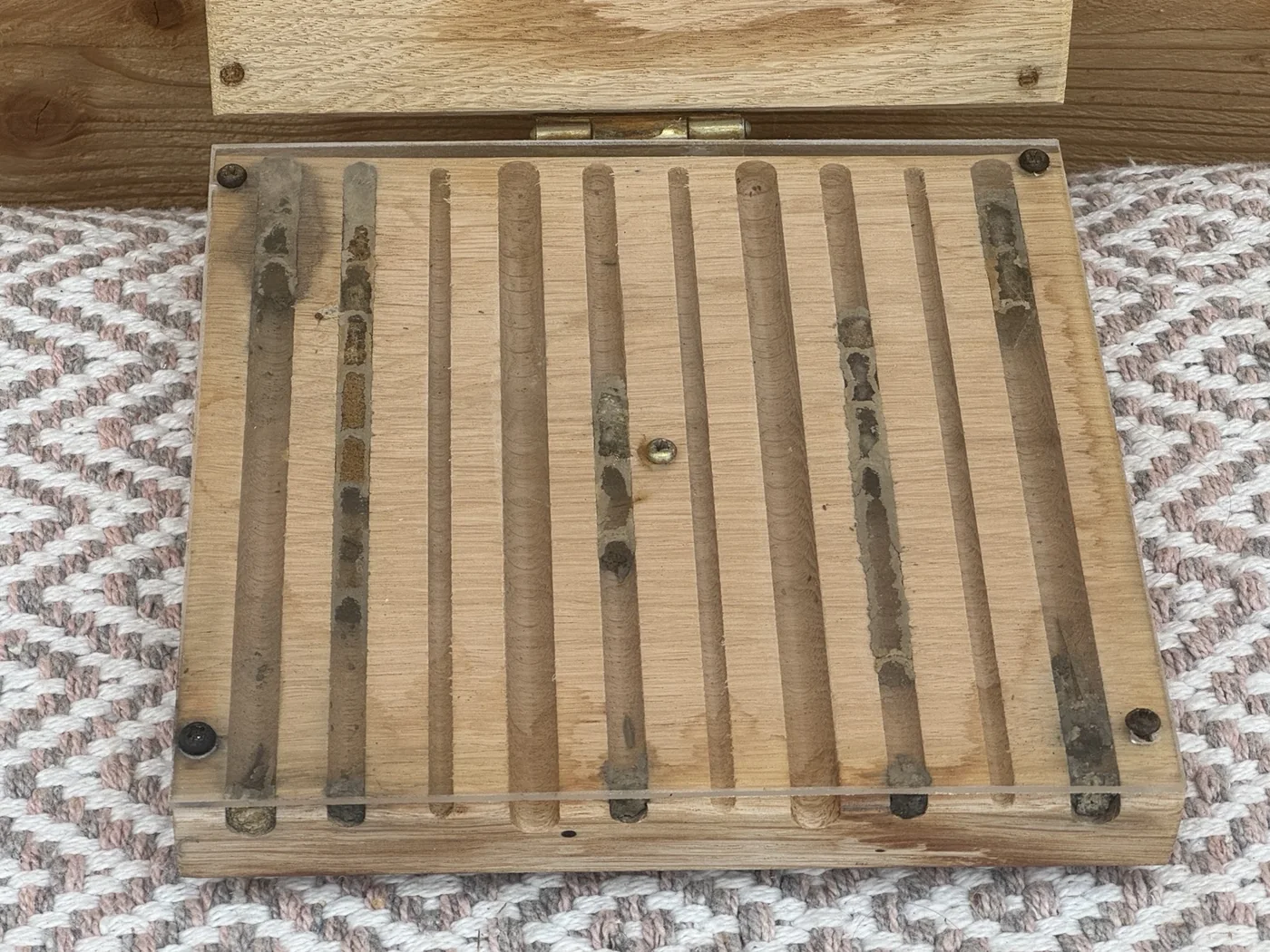 Wildbienen-Beobachtungskasten von vorn mit mehreren unterschiedlich belegten Nistgängen.