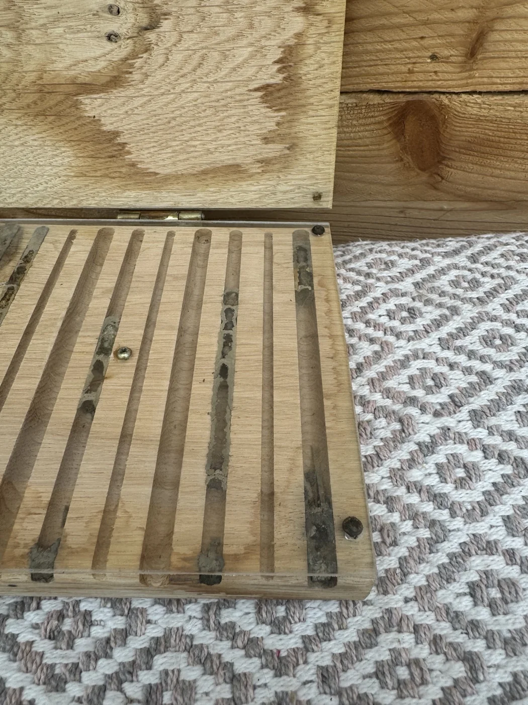Rechter Bereich eines Wildbienen-Beobachtungskastens mit belegten Nistgängen und sichtbaren Zelltrennungen.