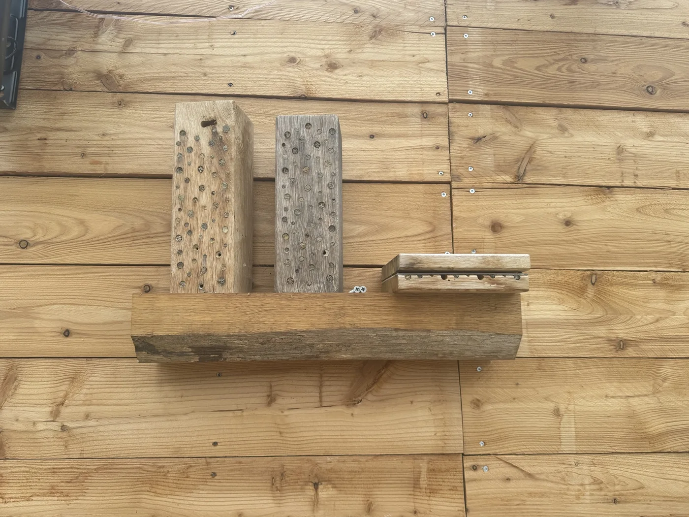 Mehrere ältere Wildbienen-Nisthilfen und ein Beobachtungskasten an einer Holzwand.