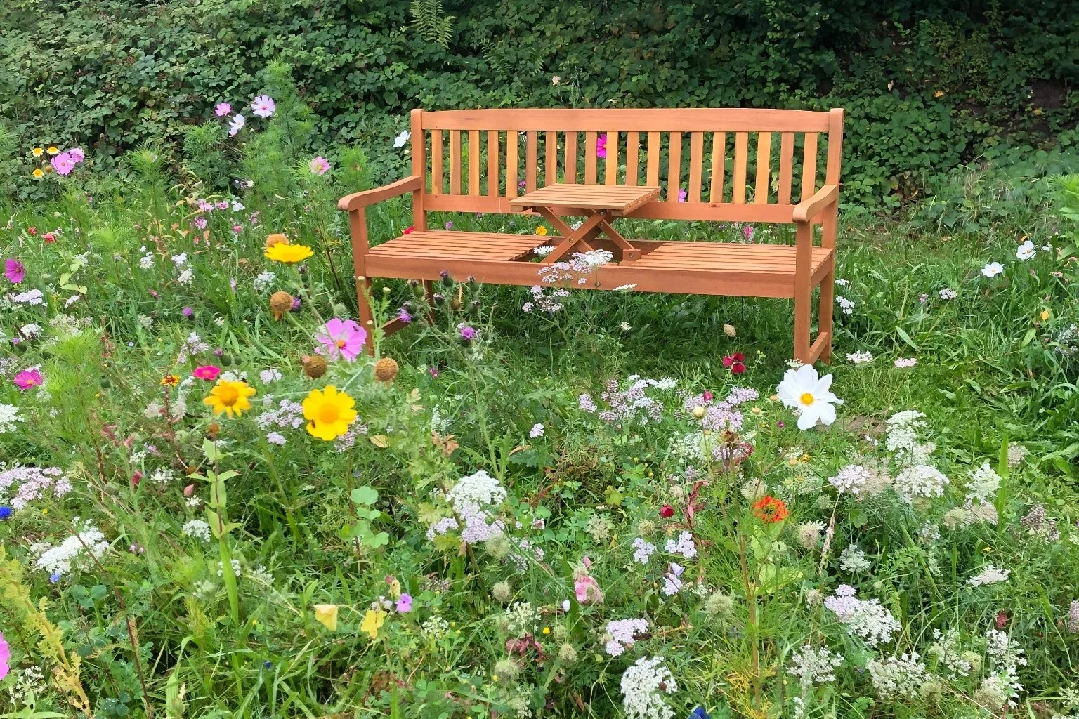 Sitzbank in einer hohen, blütenreichen Wildblumenfläche mit vielfältiger Vegetation.